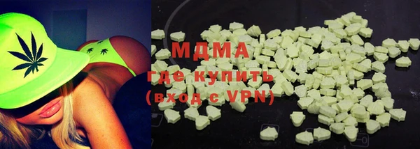 гидра Ельня