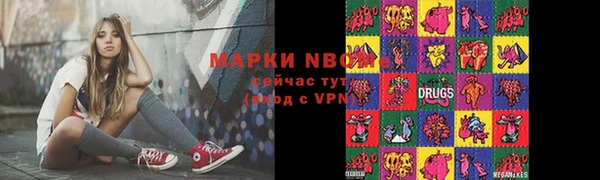 гидра Ельня