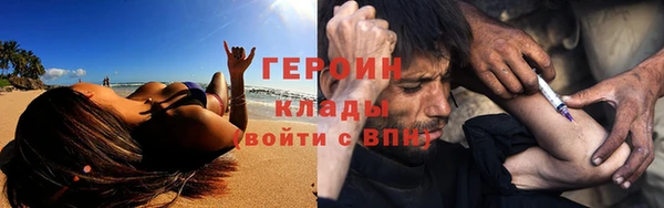 гидра Ельня