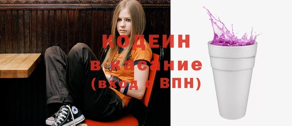 гидра Ельня