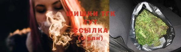 гидра Ельня
