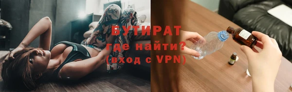 гидра Ельня