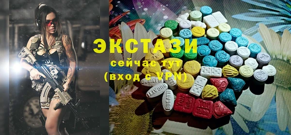 гидра Ельня