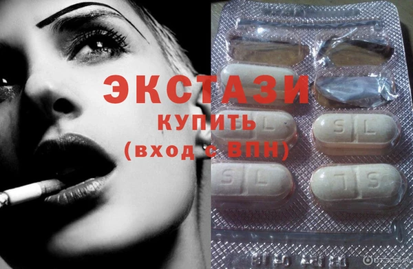 гидра Ельня