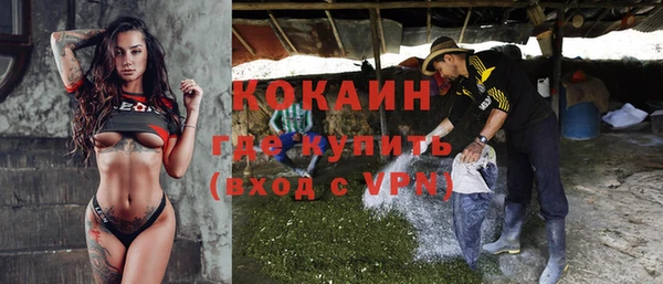 гидра Ельня