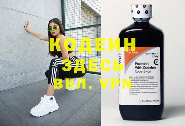 гидра Ельня