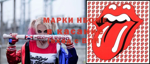 гидра Ельня