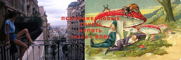 прущие крисы Елабуга