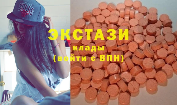 гидра Ельня