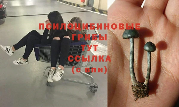 прущие крисы Елабуга