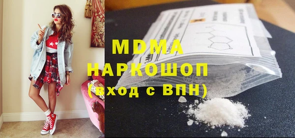 гидра Ельня