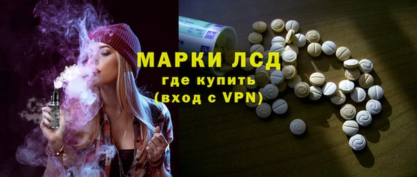 гидра Ельня