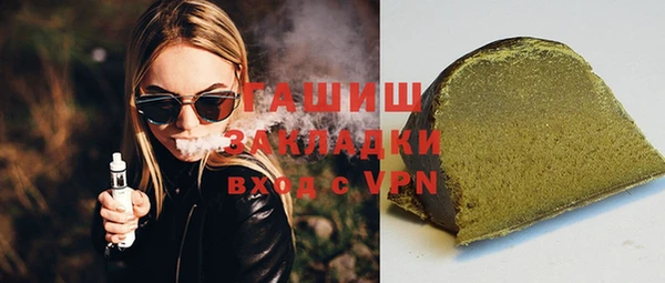 гидра Ельня
